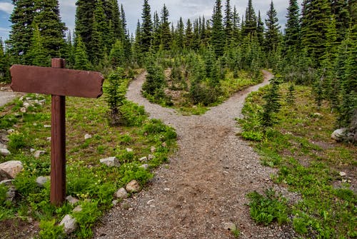 Comment vous mettre en condition pour participer à un trail ?